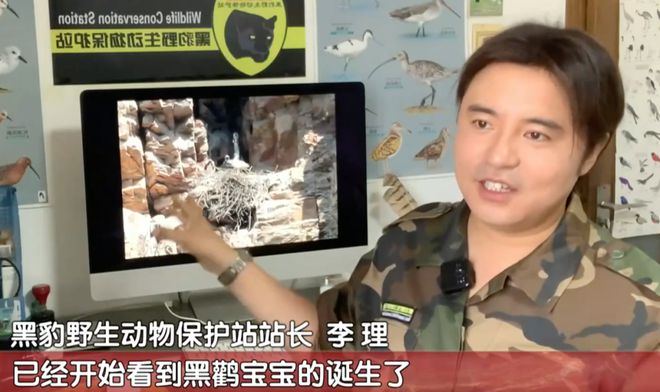 惊喜！“鸟中大熊猫”+3！萌宝伸懒腰在线圈粉(图2)