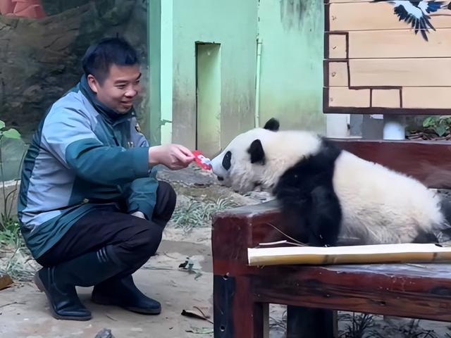 日本宣布：将在6月28日正式归还中国的“国宝”！(图10)