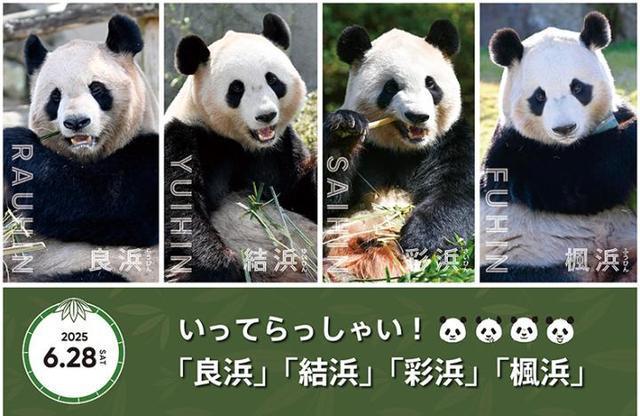 日本宣布：将在6月28日正式归还中国的“国宝”！(图1)