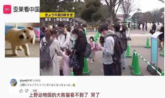 日本宣布：将在6月28日正式归还中国的“国宝”！(图17)