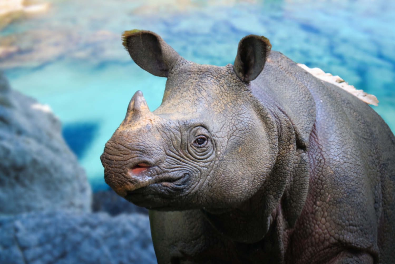 破译生命密码用再生医学引航生命新通道(图1)