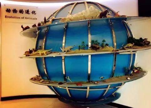 牛！这所区属中学的动物博物馆几乎是国内中学独一无二的存在！(图1)