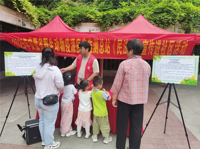 安徽省野生动物疫源疫病监测总站 开展《民法典》专题普法宣传(图1)