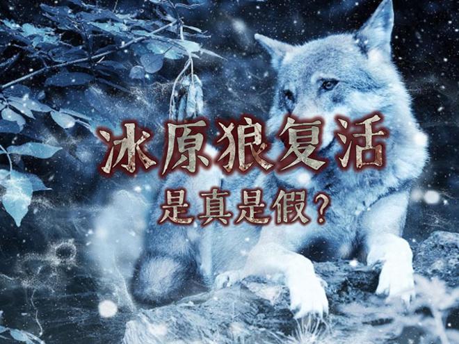 复活恐龙还远吗？125万年前灭绝的恐狼都有了是创举还是隐患(图1)