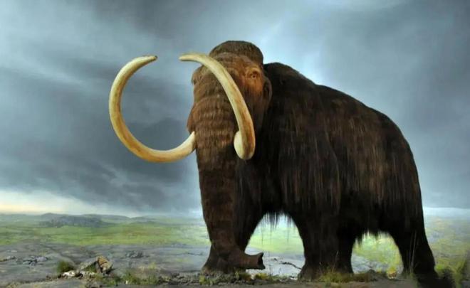 复活恐龙还远吗？125万年前灭绝的恐狼都有了是创举还是隐患(图14)