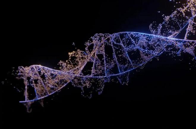 复活恐龙还远吗？125万年前灭绝的恐狼都有了是创举还是隐患(图19)