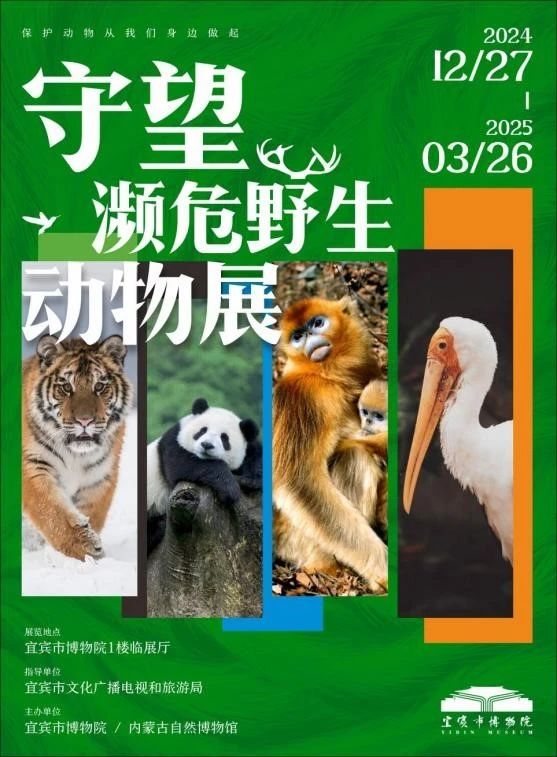 世界十大濒危动物pdf(图1)