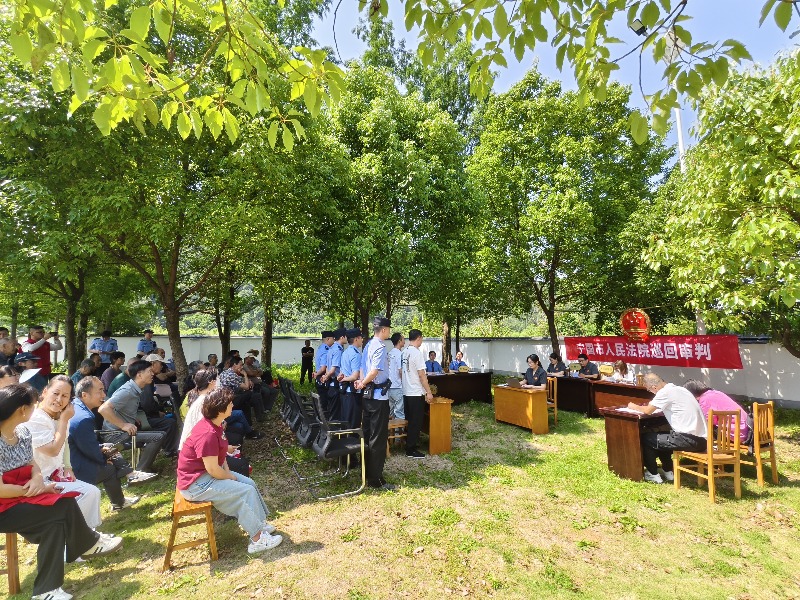 “林间法庭”开庭！宁国市法院巡回审理一起非法狩猎案(图1)