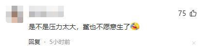 难道压力太大鳖都不愿意生了？全国仅剩一只的神兽即将成为孤种(图15)