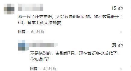 难道压力太大鳖都不愿意生了？全国仅剩一只的神兽即将成为孤种(图16)