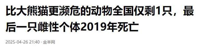 难道压力太大鳖都不愿意生了？全国仅剩一只的神兽即将成为孤种(图23)