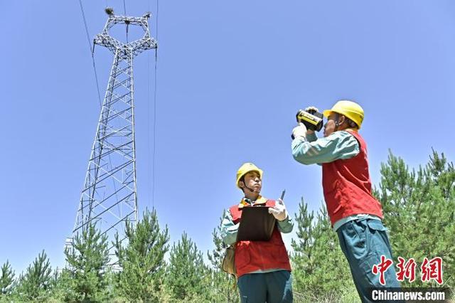 山西大同：“鸟中国宝”铁塔筑巢繁殖 电力人员守护“空中来客”(图2)