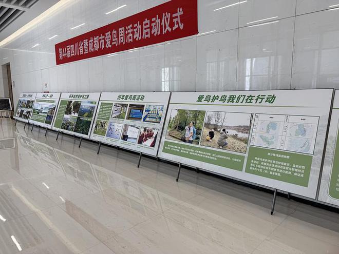 第44届四川省暨成都市爱鸟周活动启动 成都境内分布有鸟类增至586种(图1)