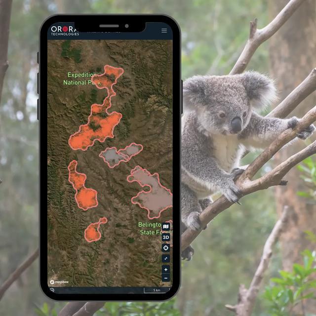 动物穿越：AI 助力全球野生动植物保护(图5)