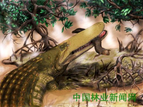 全球十种最奇异新物种亮相(图10)