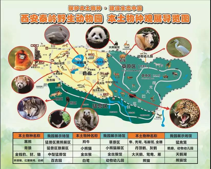中华人民共和国野生动物保护法（全文）(图1)