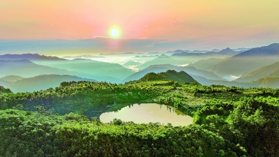 钱江源—百山祖国家公园候选区：“这是一个动植物乐园”(图1)