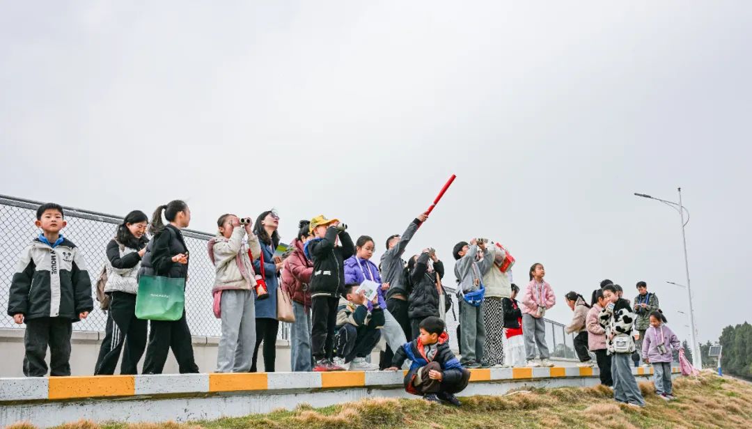 一只鸟一群人一座城——荆门全城爱鸟护鸟背后的生态环境保护答卷(图12)