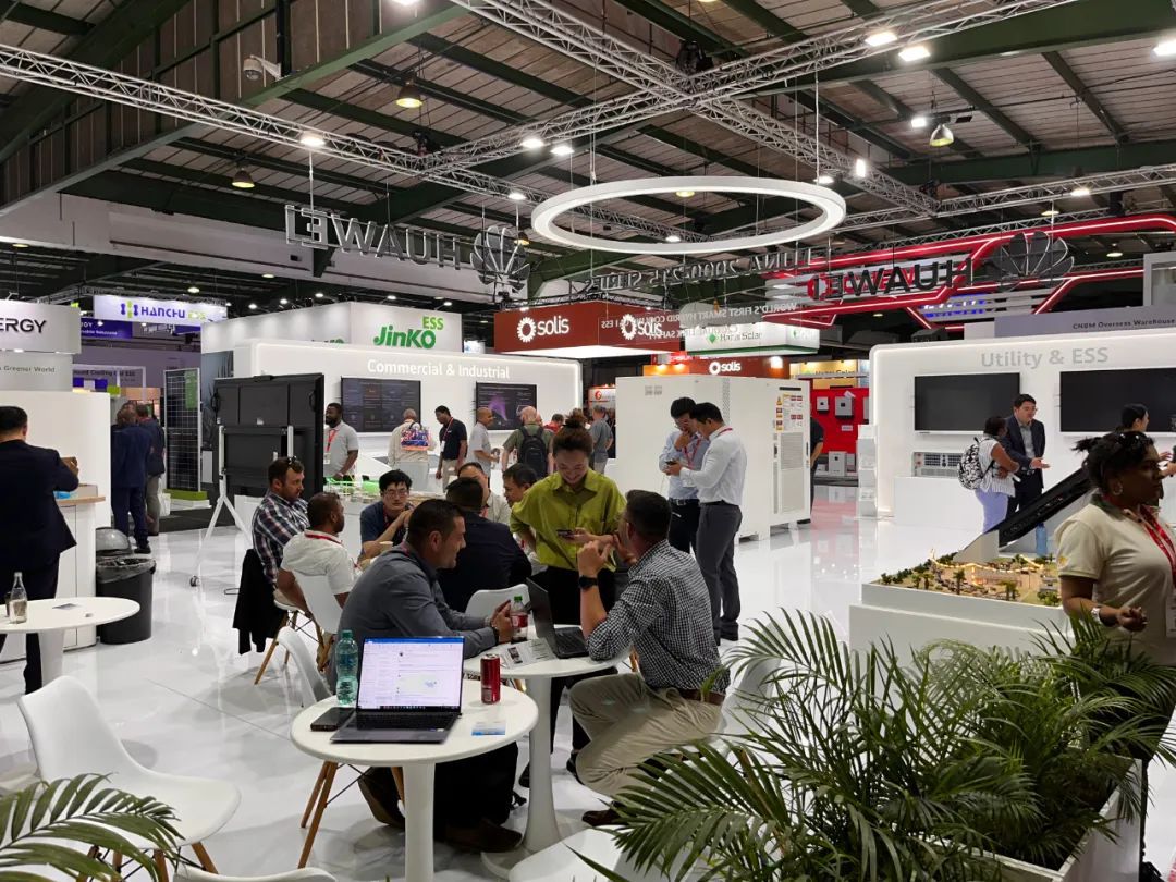 东西问丨邓玉萍：中非共“逐”绿 如何转动共赢之匙？(图1)