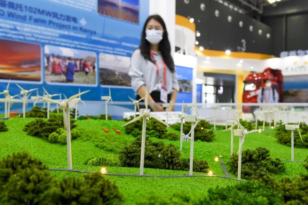 东西问丨邓玉萍：中非共“逐”绿 如何转动共赢之匙？(图2)