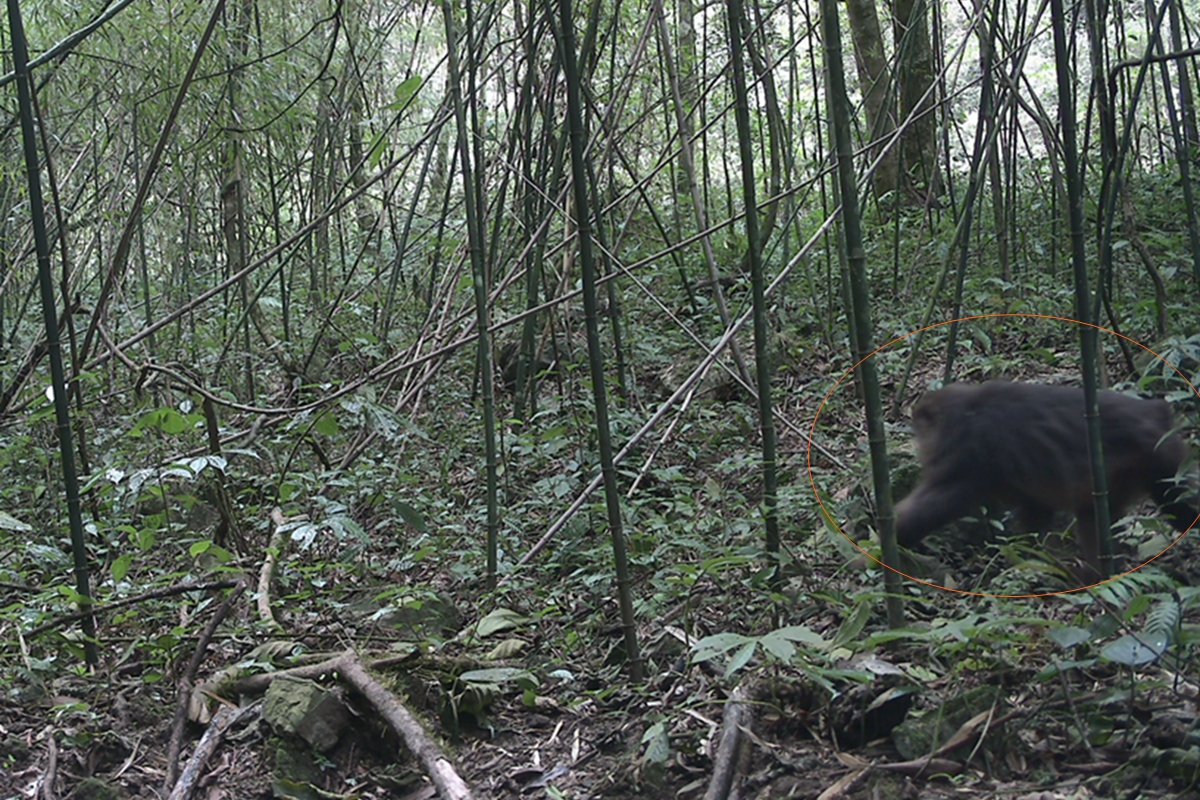 【执法普法】法院“拍了拍”你：这份避“雷”指引请收好(图1)
