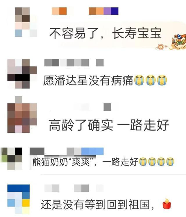 最新消息！日本已将离世的旅日大熊猫“旦旦”骨架遗骸归还给中国(图2)