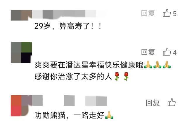 最新消息！日本已将离世的旅日大熊猫“旦旦”骨架遗骸归还给中国(图1)