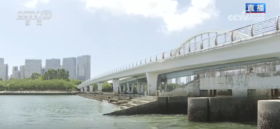 生态画卷展新“颜” 增“绿”生“金”点亮多样消费新场景(图5)