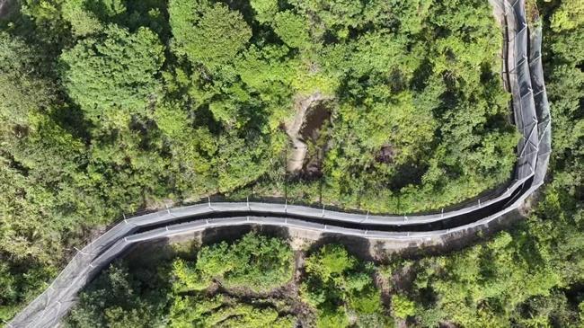 全国面积最大的华南虎野化训练基地在龙岩启用