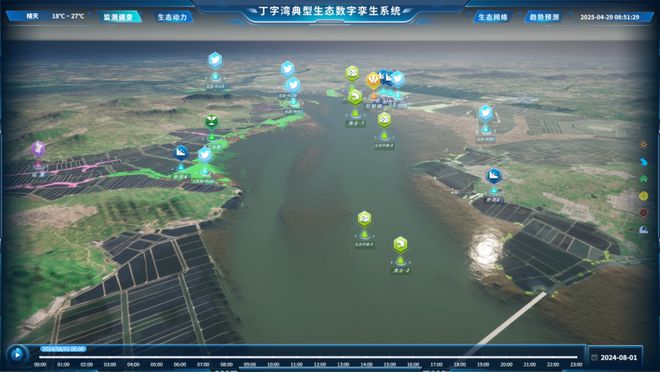 自然资源部北海预报减灾中心发现国家一级保护动物彩鹮首次现身丁字湾！海湾生态保护初现成效(图3)