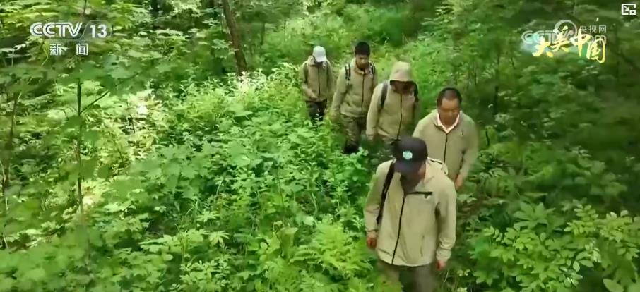 科技助力保护生物多样性 守护珍稀野生动物家园(图3)