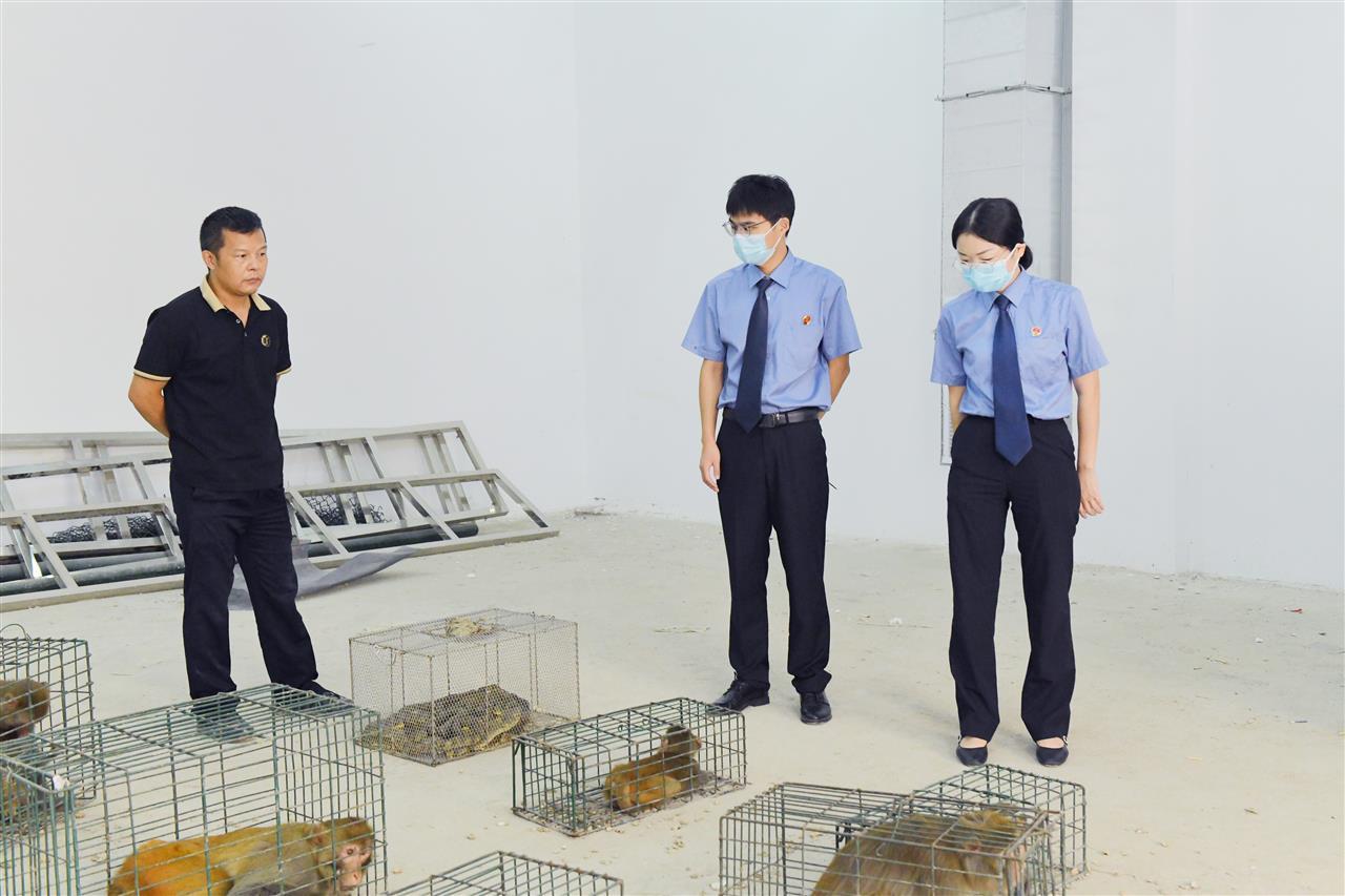 一个账本牵出非法收购野生动物团伙 20名被告人均受到相应刑罚(图2)
