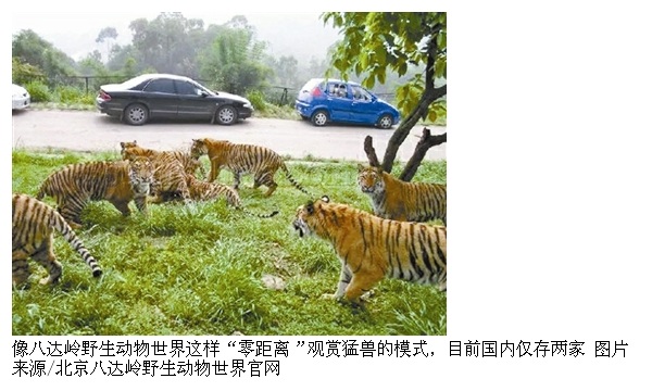 陕西合阳：保护野生动物 守护地球家园(图1)