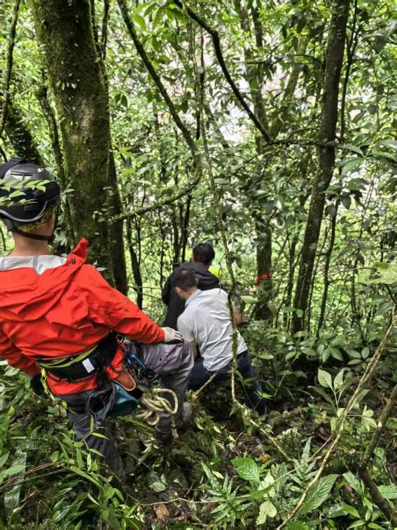 这一极危物种曾“消失”百年如今中国科学家助它重返自然！(图4)