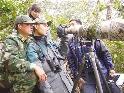 公认已灭绝！2002年专家发现一只被打死的尸体4年后录到叫声(图11)