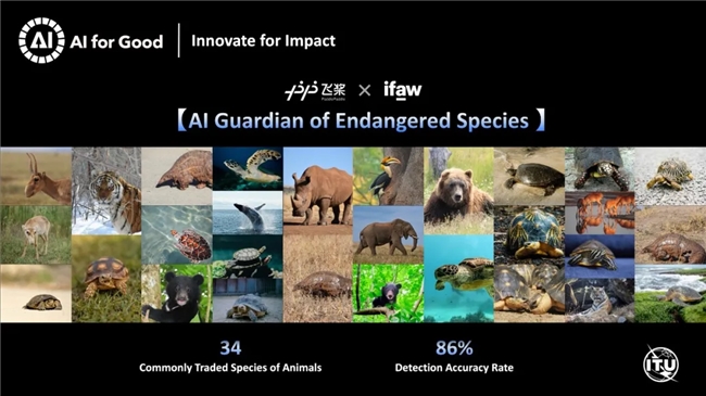 入选联合国案例集！AI拯救濒危动物飞桨助力清除13万余条非法贸易广告(图1)