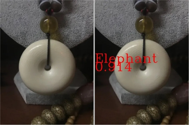 入选联合国案例集！AI拯救濒危动物飞桨助力清除13万余条非法贸易广告(图2)