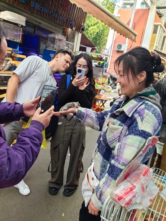 “异宠”凶猛！去年大幅增长200%别乱买！(图3)