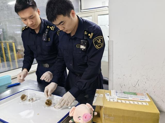 “异宠”凶猛！去年大幅增长200%别乱买！(图1)