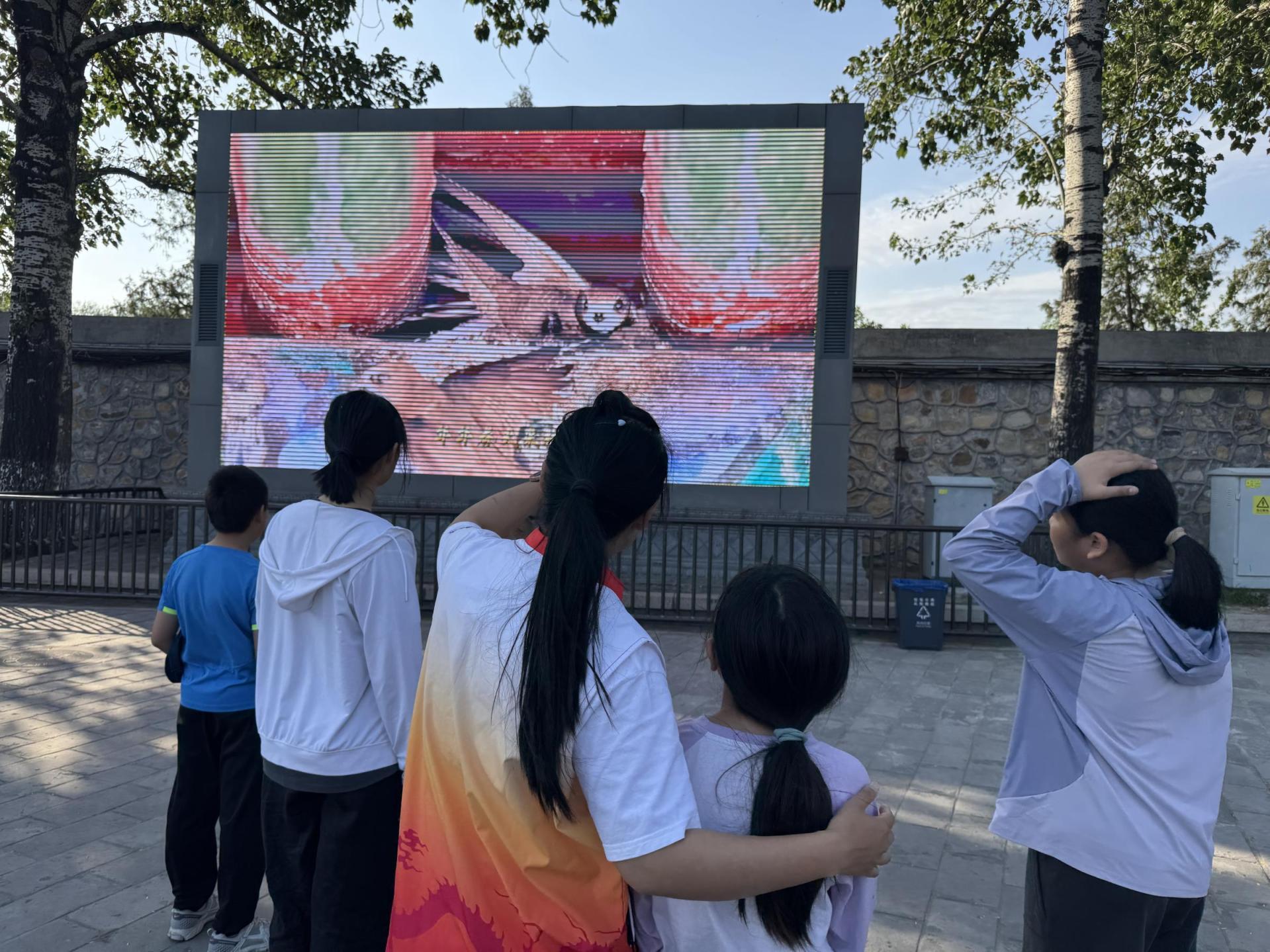 北京雨燕完成“年度体检”107只获生态“身份证”(图5)