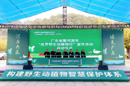阳江市阳春市林业局(图1)