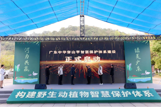 阳江市阳春市林业局(图3)