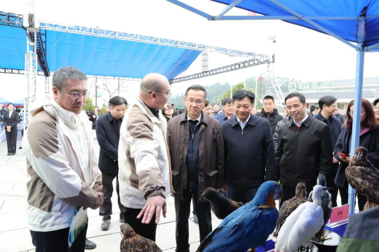 阳江市阳春市林业局(图5)