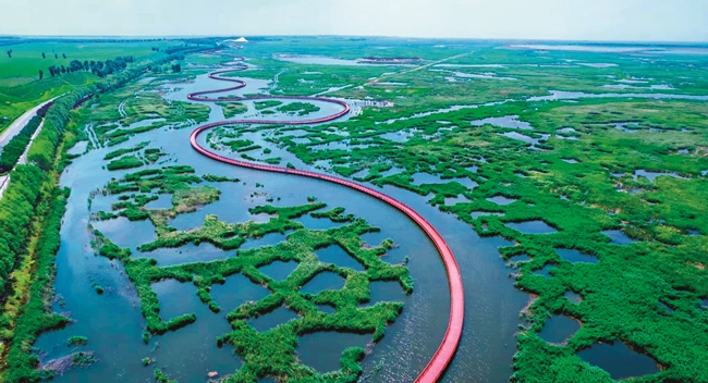 习近平与美丽中国建设丨“保护生态和发展旅游相得益彰”——吉林省松原市前郭县干部群众访谈录(图4)