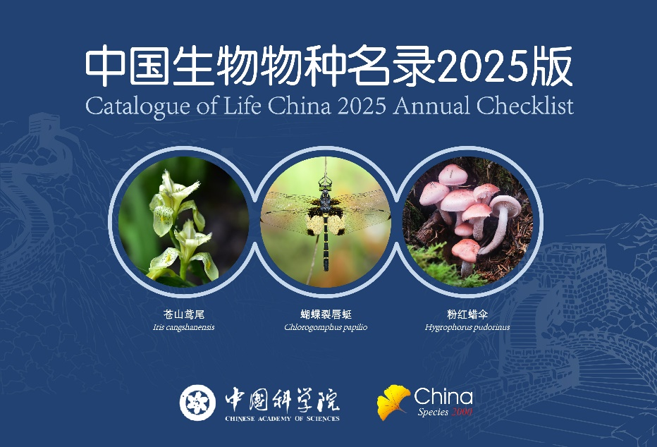 首次收录中国蜻蜓和蚯蚓 《中国生物物种名录2025版》发布(图1)