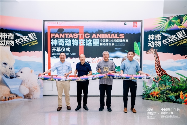 神奇动物在这里影像展在北京启幕：看万物有灵赴一场自然之约(图2)