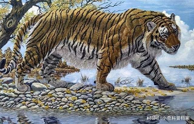 被人类灭绝的六种动物仅留下了画像和照片你都知道几个？(图6)