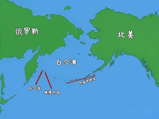 回顾：从发现到灭绝仅用27年斯特拉大海牛此前已经生存了800万年(图2)