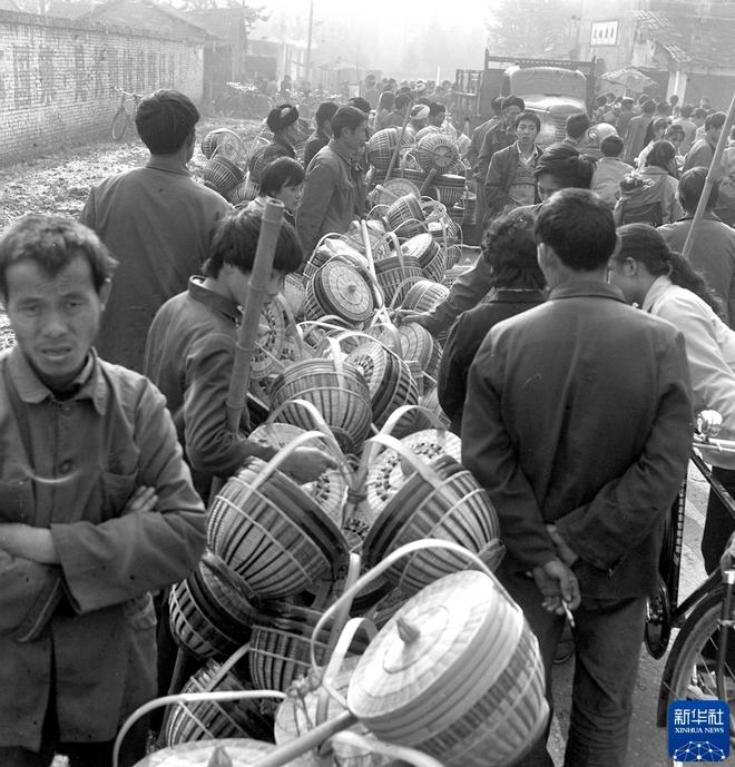 我在现场·光影流年陈燮：让影像留驻历史(图5)