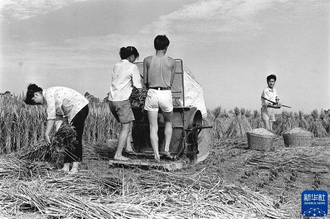 我在现场·光影流年陈燮：让影像留驻历史(图8)